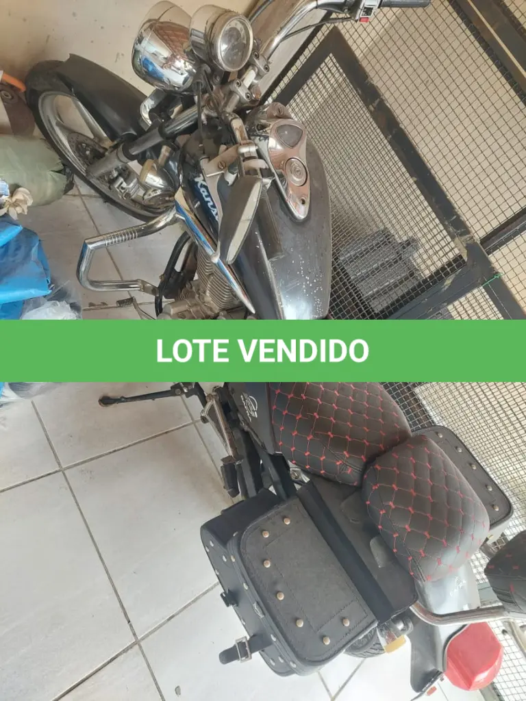 LOTE 502