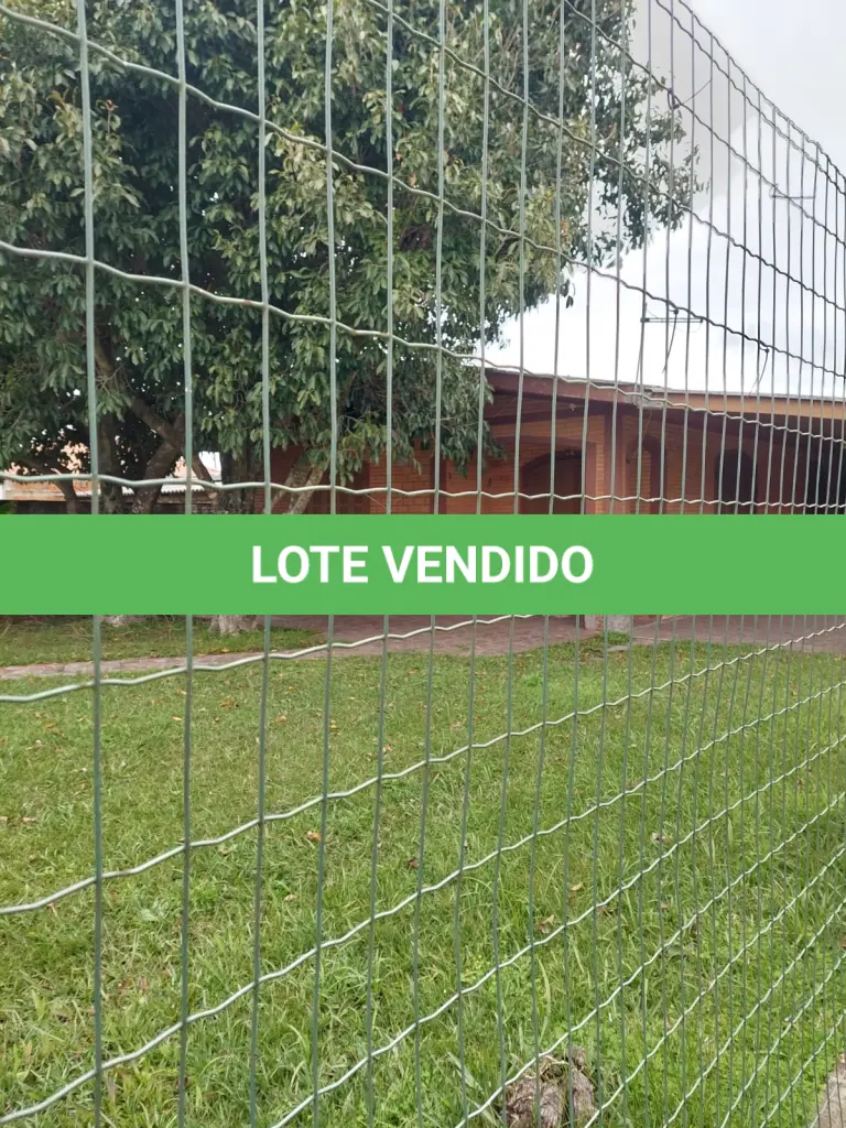 LOTE 476