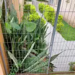 LOTE 166 - APARTAMENTO - CONJUNTO  RESIDÊNCIAL ILHAS DO MEDITERRÂNEO