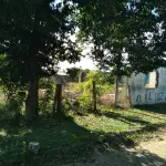 LOTE 099 - Um Prédio de Construção Mista