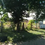 LOTE 099 - Um Prédio de Construção Mista