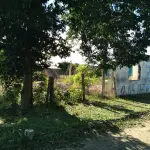 LOTE 099 - Um Prédio de Construção Mista