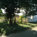 LOTE 099 - Um Prédio de Construção Mista