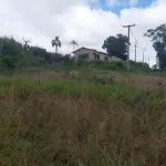 LOTE 508 - UMA FRAÇÃO DE TERRAS COM AREA DE 5.000 m² e respectivo Prédio construído dentro desta área, correspondente a Planta Industrial