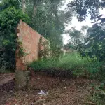 LOTE 508 - UMA FRAÇÃO DE TERRAS COM AREA DE 5.000 m² e respectivo Prédio construído dentro desta área, correspondente a Planta Industrial