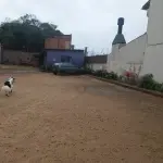 LOTE 515 - IMÓVEL – Sobrado em alvenaria localizado na Av. Guaíba nº1646 emPorto Alegre