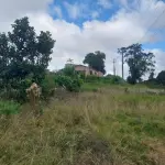 LOTE 508 - UMA FRAÇÃO DE TERRAS COM AREA DE 5.000 m² e respectivo Prédio construído dentro desta área, correspondente a Planta Industrial