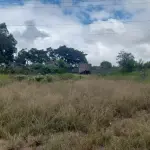 LOTE 508 - UMA FRAÇÃO DE TERRAS COM AREA DE 5.000 m² e respectivo Prédio construído dentro desta área, correspondente a Planta Industrial
